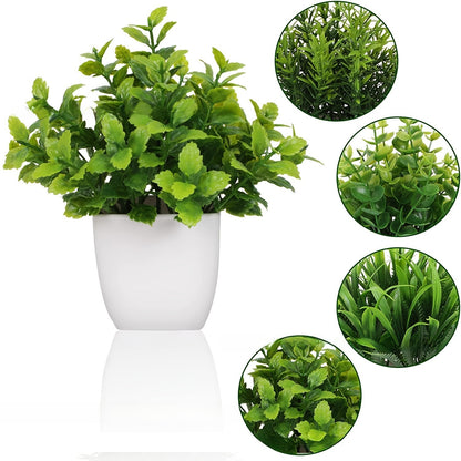Plastic Potted