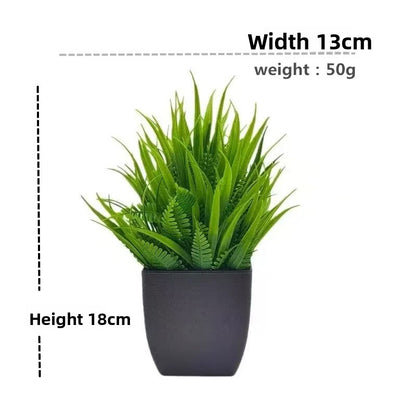 Plant Pot