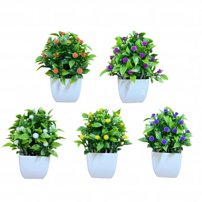 Small Potted Plants