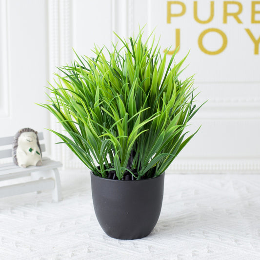 Potted Plants