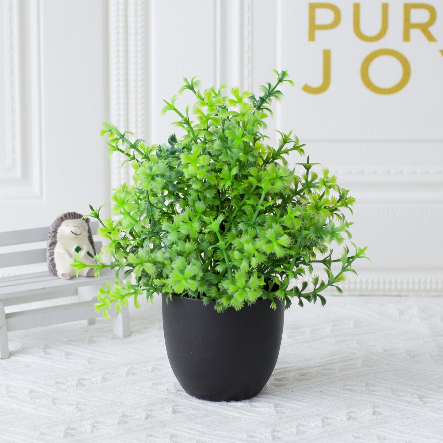 Potted Plants