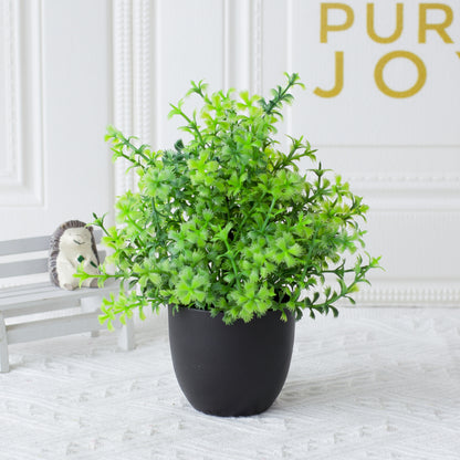 Potted Plants