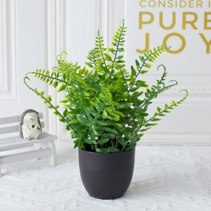 Potted Plants