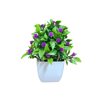 Small Potted Plants
