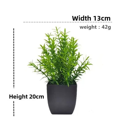 Plant Pot