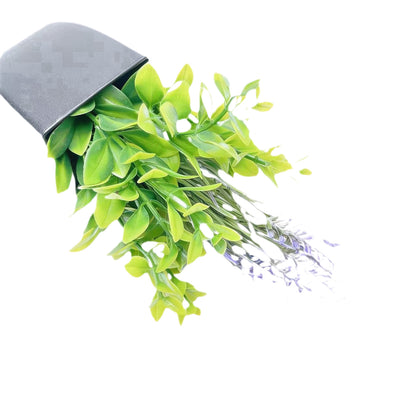 Plant Pot