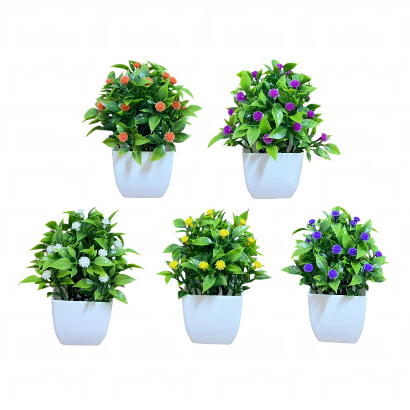 Small Potted Plants