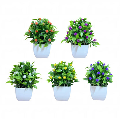 Small Potted Plants