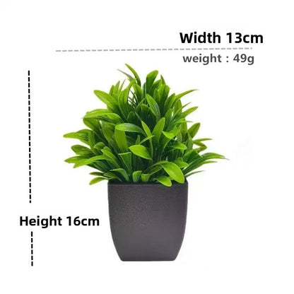 Plant Pot