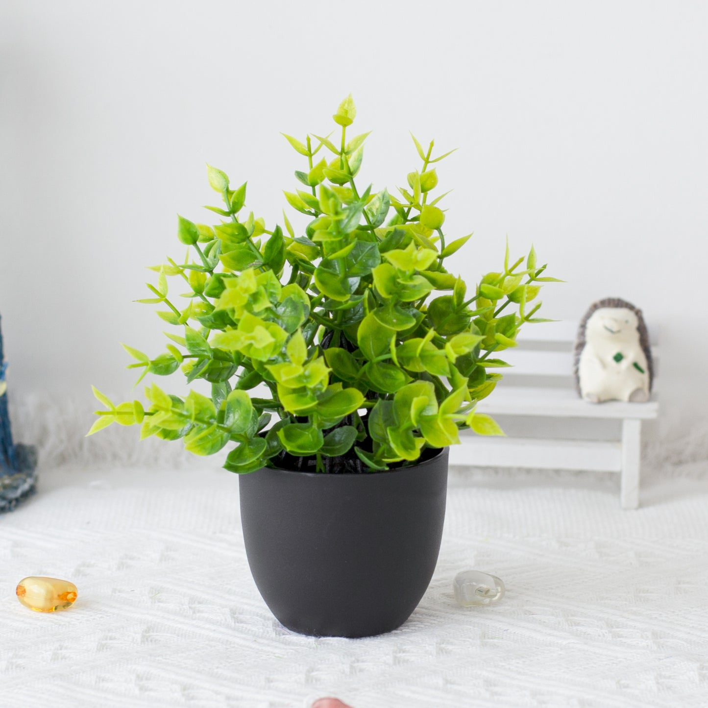Potted Plants