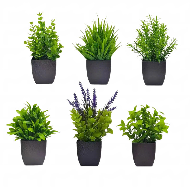 Plant Pot
