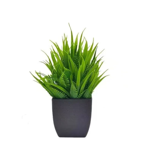 Plant Pot