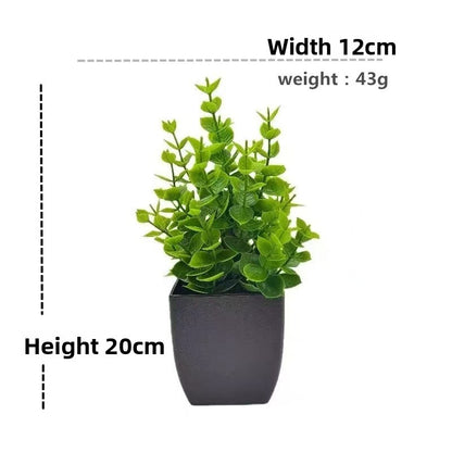 Plant Pot