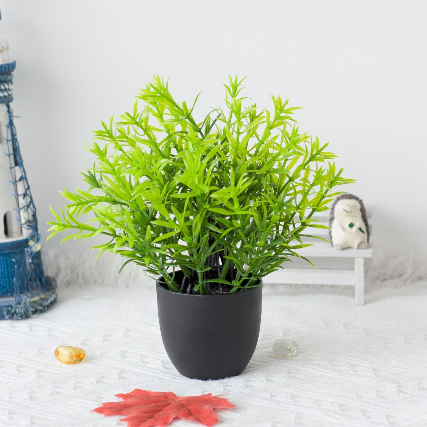 Potted Plants