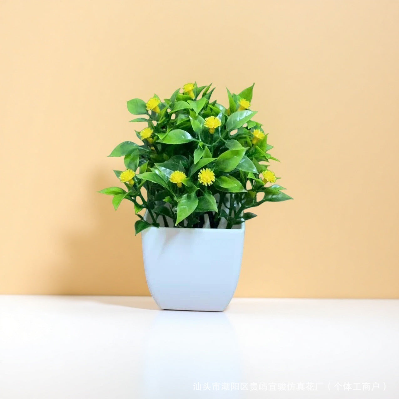 Small Potted Plants