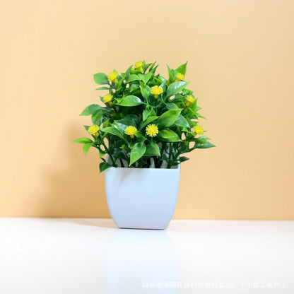 Small Potted Plants