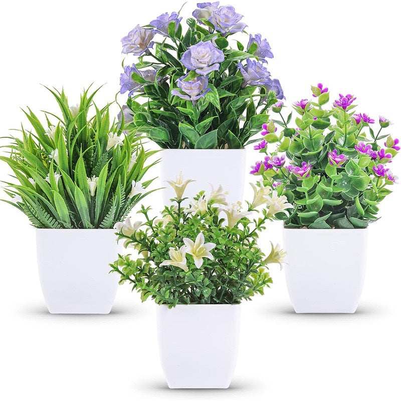 Potted Plants