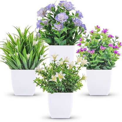 Potted Plants