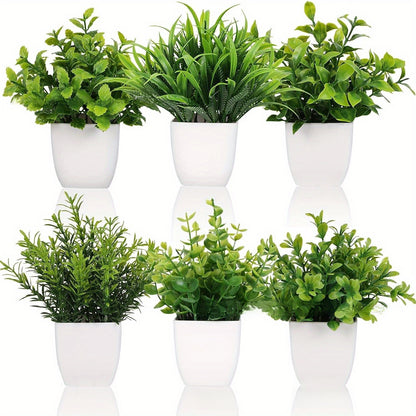 Plastic Potted