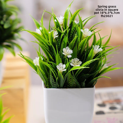 Potted Plants