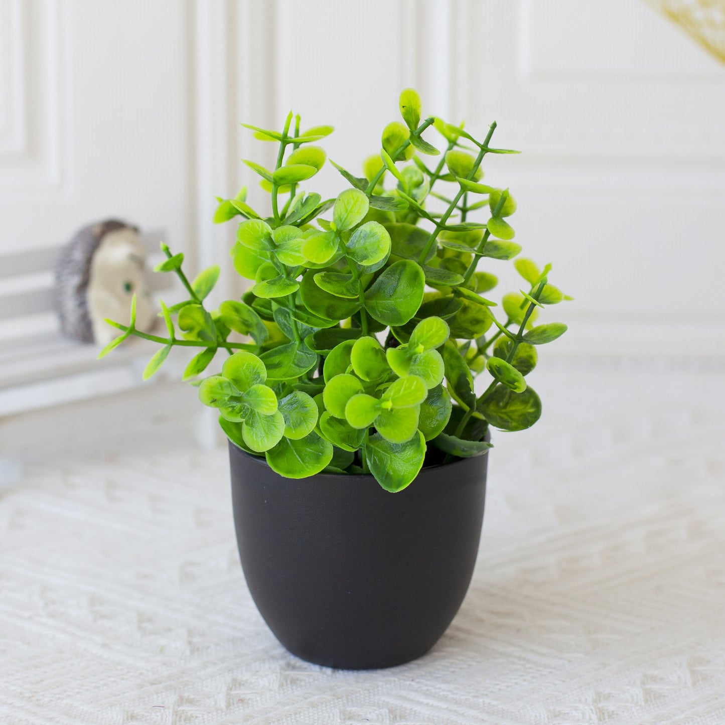 Potted Plants