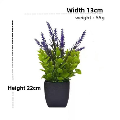 Plant Pot