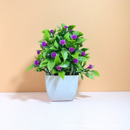 Small Potted Plants