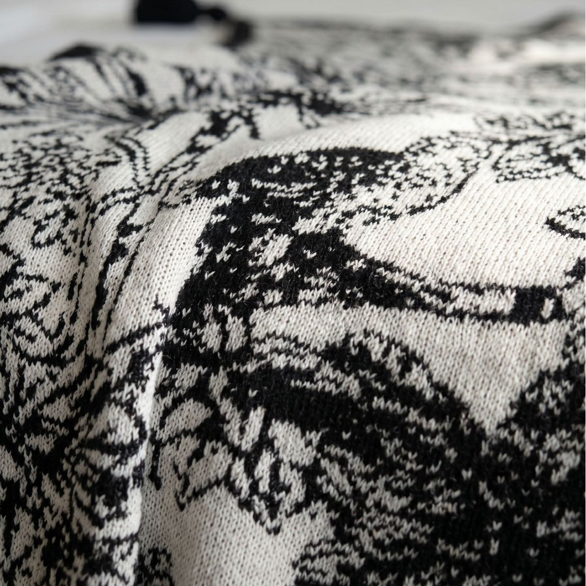 Blanket