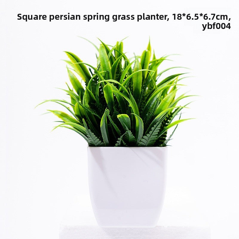Potted Plants