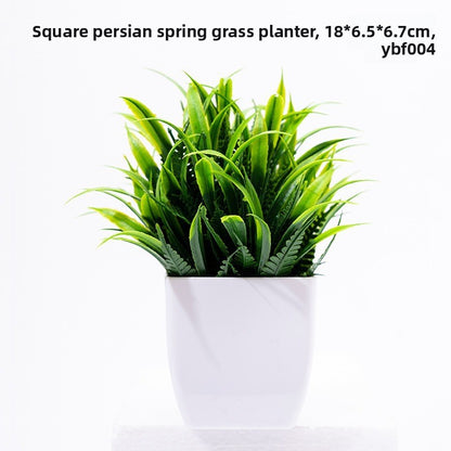 Potted Plants