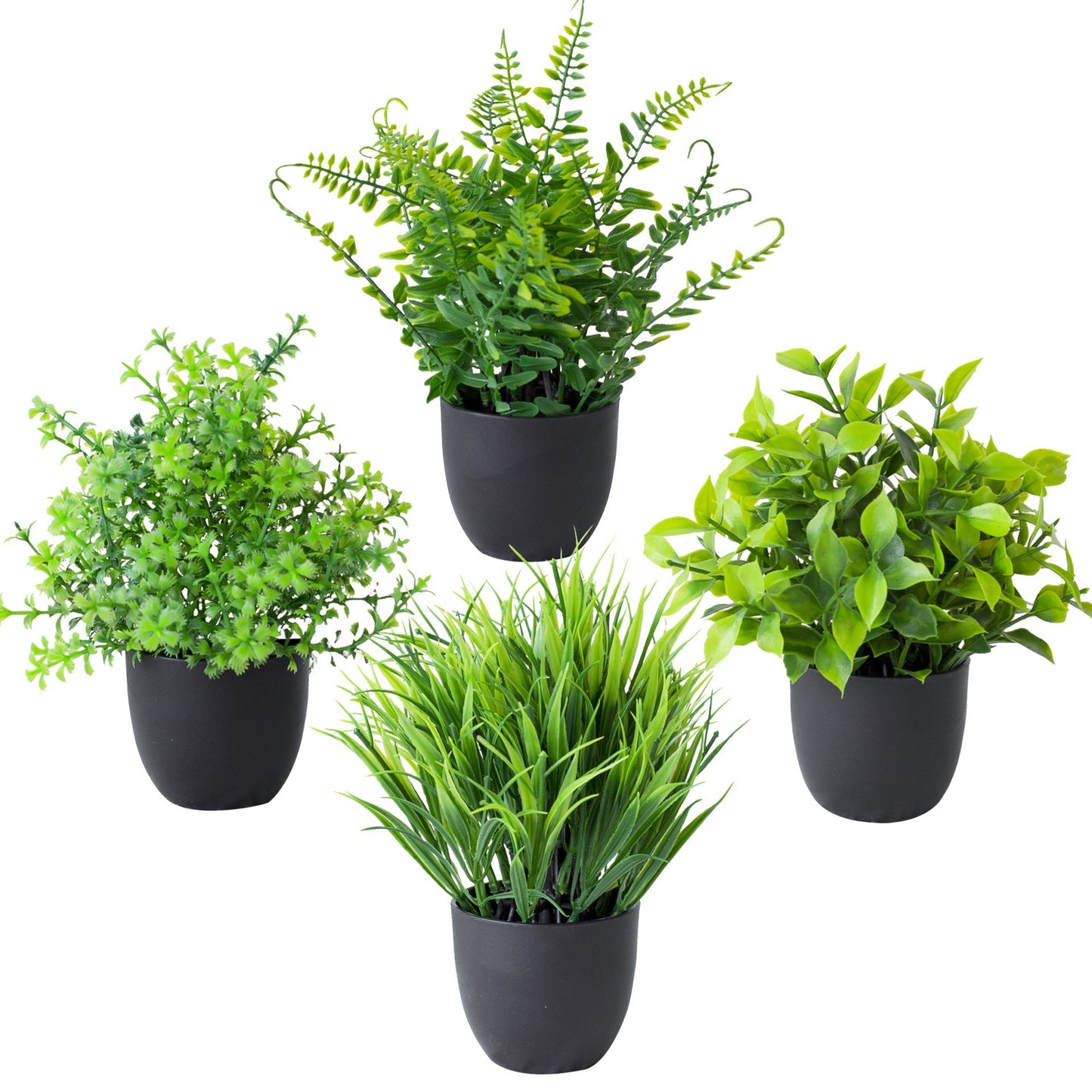 Potted Plants