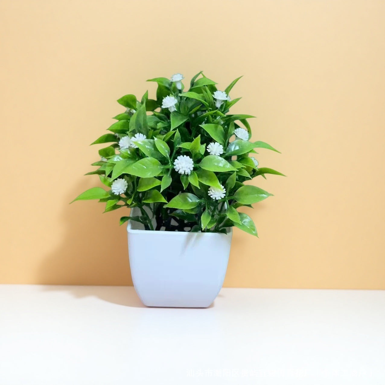 Small Potted Plants