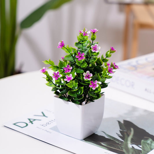 Potted Plants