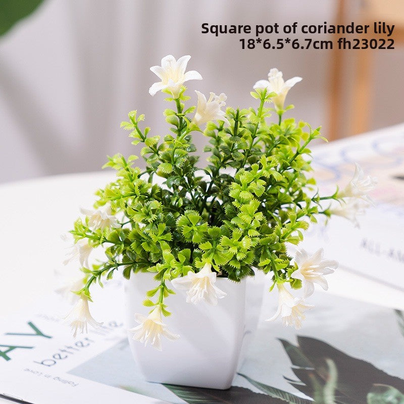 Potted Plants
