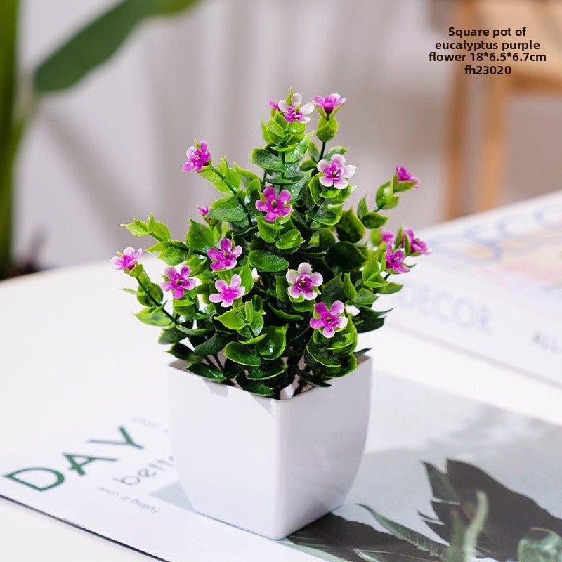 Potted Plants