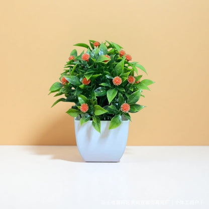 Small Potted Plants