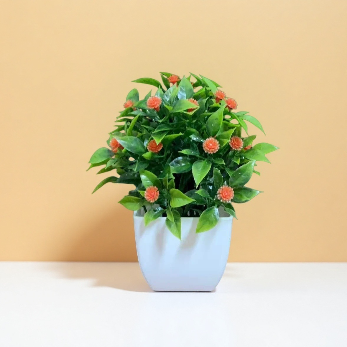 Small Potted Plants